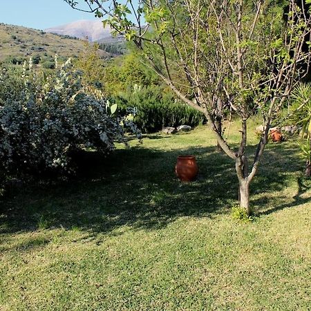 Fragosiko - Rustic Retreat In Kefalonia Argostoli  Exteriér fotografie