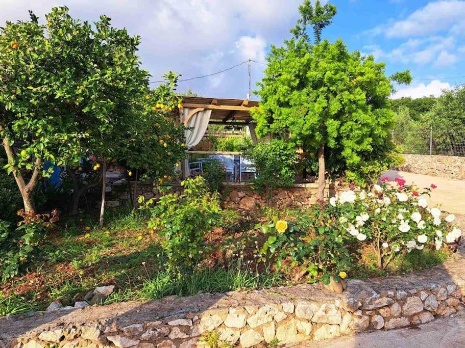 Fragosiko - Rustic Retreat In Kefalonia Argostoli  Exteriér fotografie