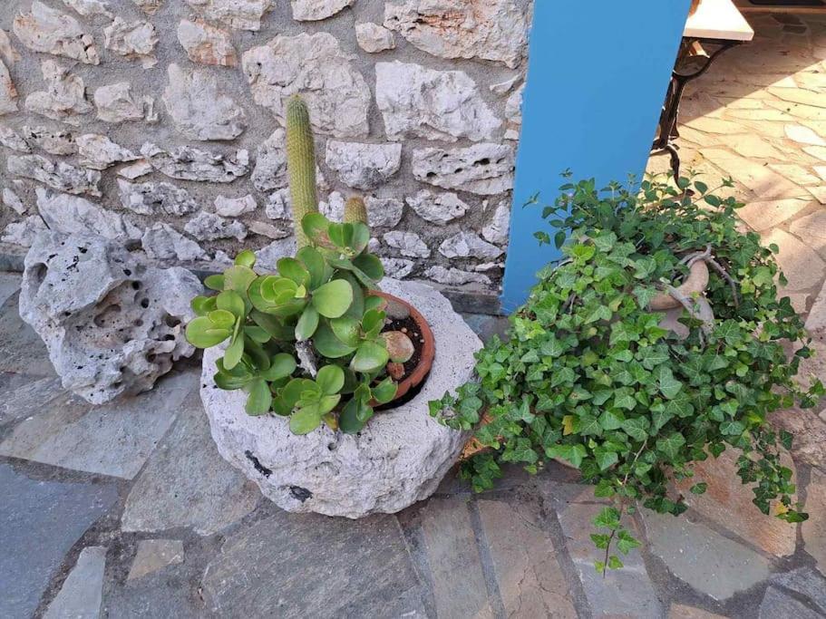Fragosiko - Rustic Retreat In Kefalonia Argostoli  Exteriér fotografie