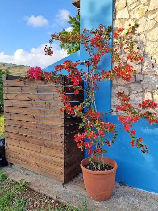 Fragosiko - Rustic Retreat In Kefalonia Argostoli  Exteriér fotografie