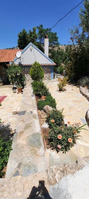 Fragosiko - Rustic Retreat In Kefalonia Argostoli  Exteriér fotografie