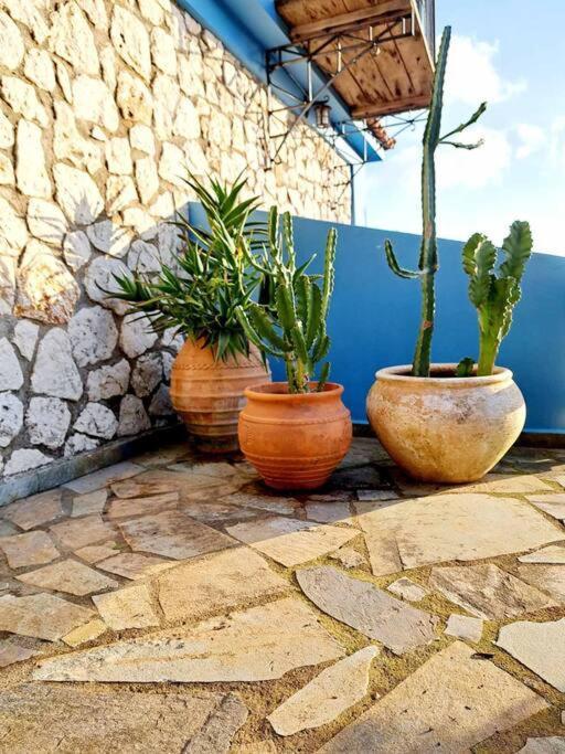 Fragosiko - Rustic Retreat In Kefalonia Argostoli  Exteriér fotografie